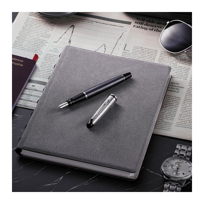 Waterman Expert Deluxe Metallic Stone CT plnicí pero