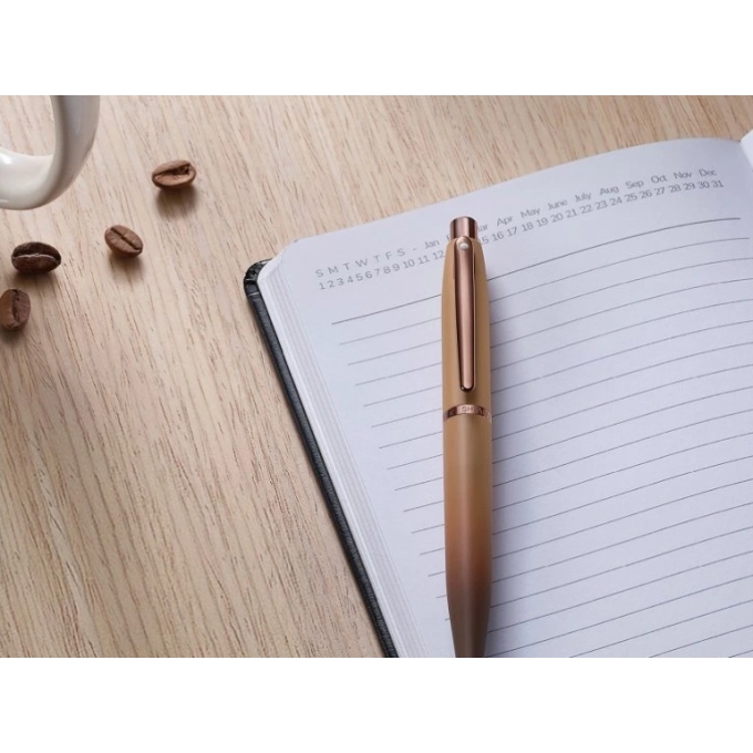 Sheaffer VFM Coffee Edition kuličkové pero