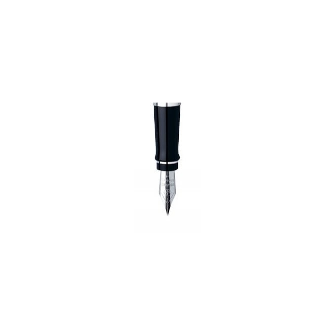 Waterman hrot Expert CT