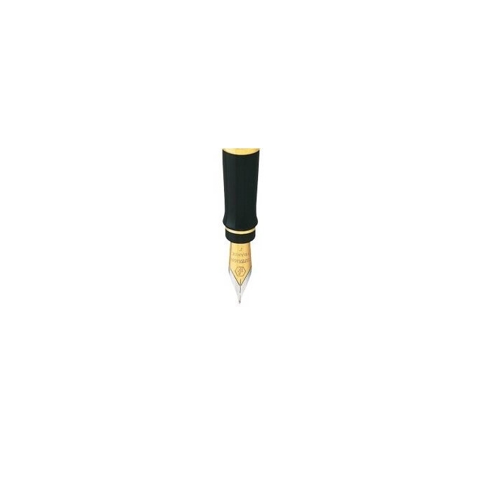 Waterman hrot Expert GT