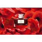 GvFC India Red dokumentní inkoust 75 ml
