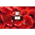 GvFC India Red dokumentní inkoust 75 ml