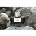 GvFC Stone Grey dokumentní inkoust 75 ml