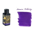 Diamine Bilberry lahvičkový inkoust 30 ml