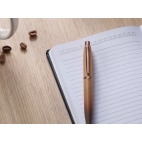 Sheaffer VFM Coffee Edition kuličkové pero