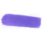 Waterman Purple lahvičkový inkoust 50 ml