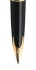 Waterman hrot Carene GT