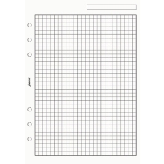 Filofax A5 čtverečkovaný papír, 25 listů